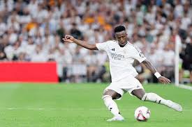 带来了极大 带来了极大